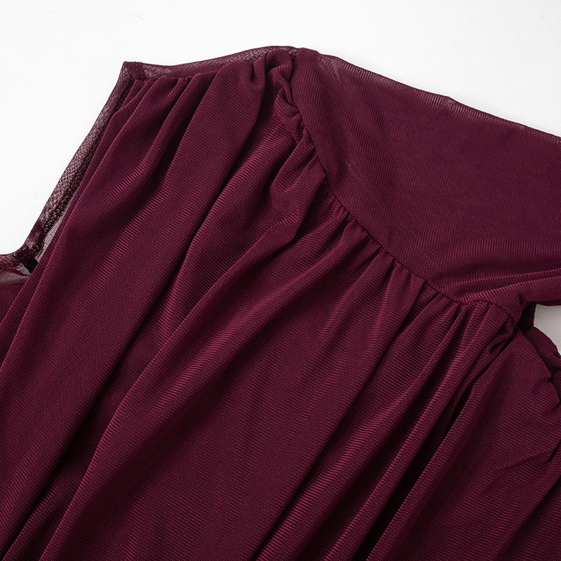 Draped Mesh Long Sleeve Top