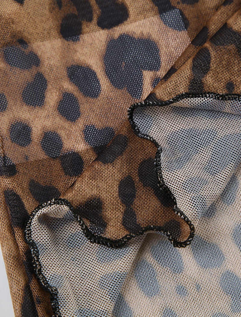 Sheer Leopard Print Long Sleeve Top