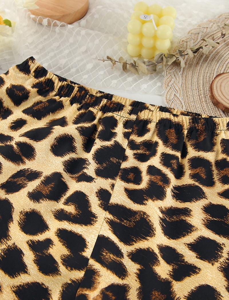 Leopard Print Long Sleeve Top and Pants Set