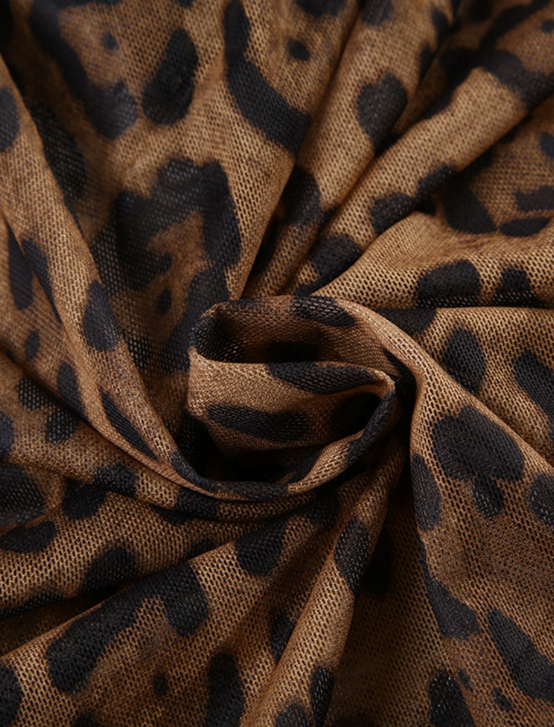 Sheer Leopard Print Long Sleeve Top
