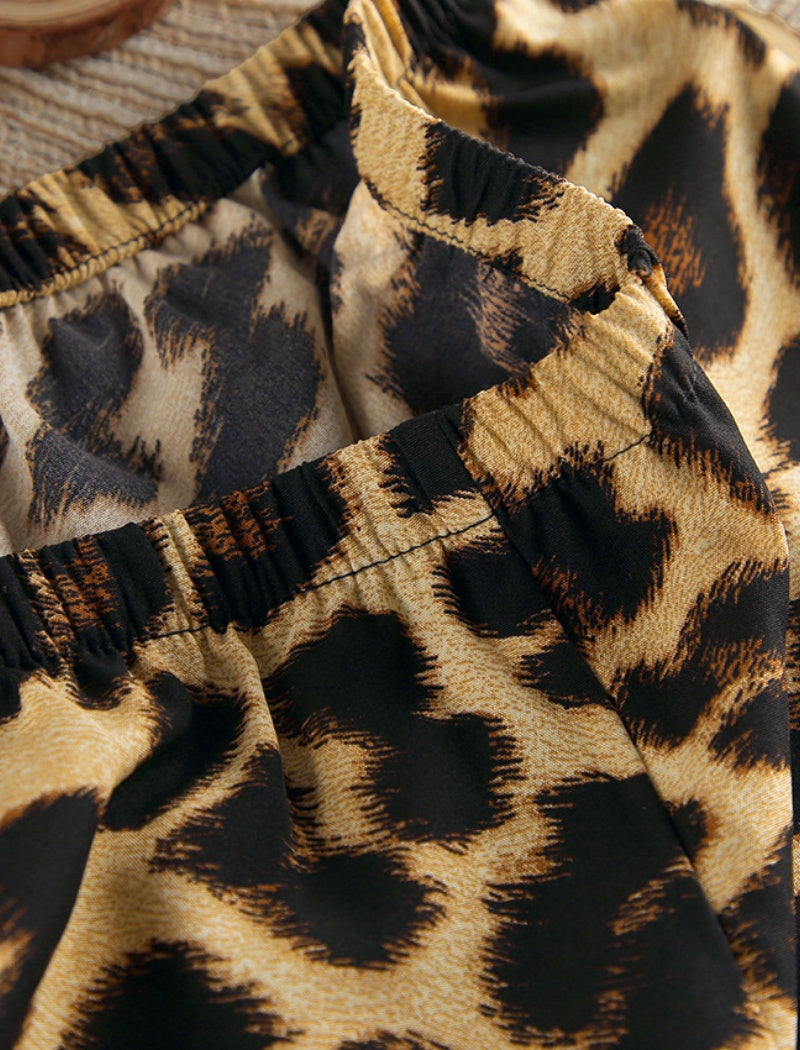 Leopard Print Long Sleeve Top and Pants Set