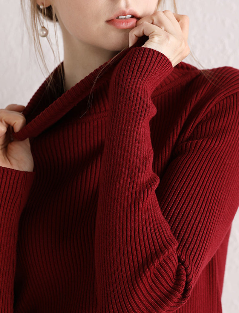 Ribbed Long Sleeve Turtleneck Top