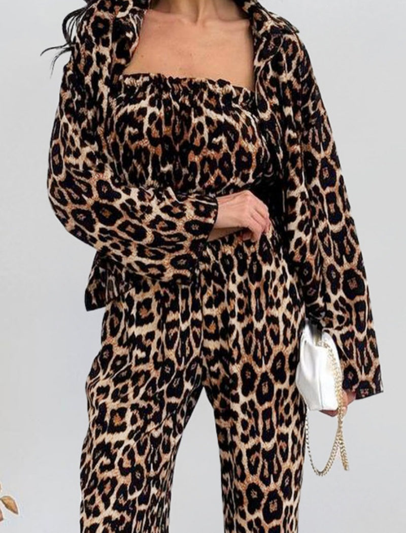 Leopard Print Square Neck Long Sleeve Crop Top and Pants Set