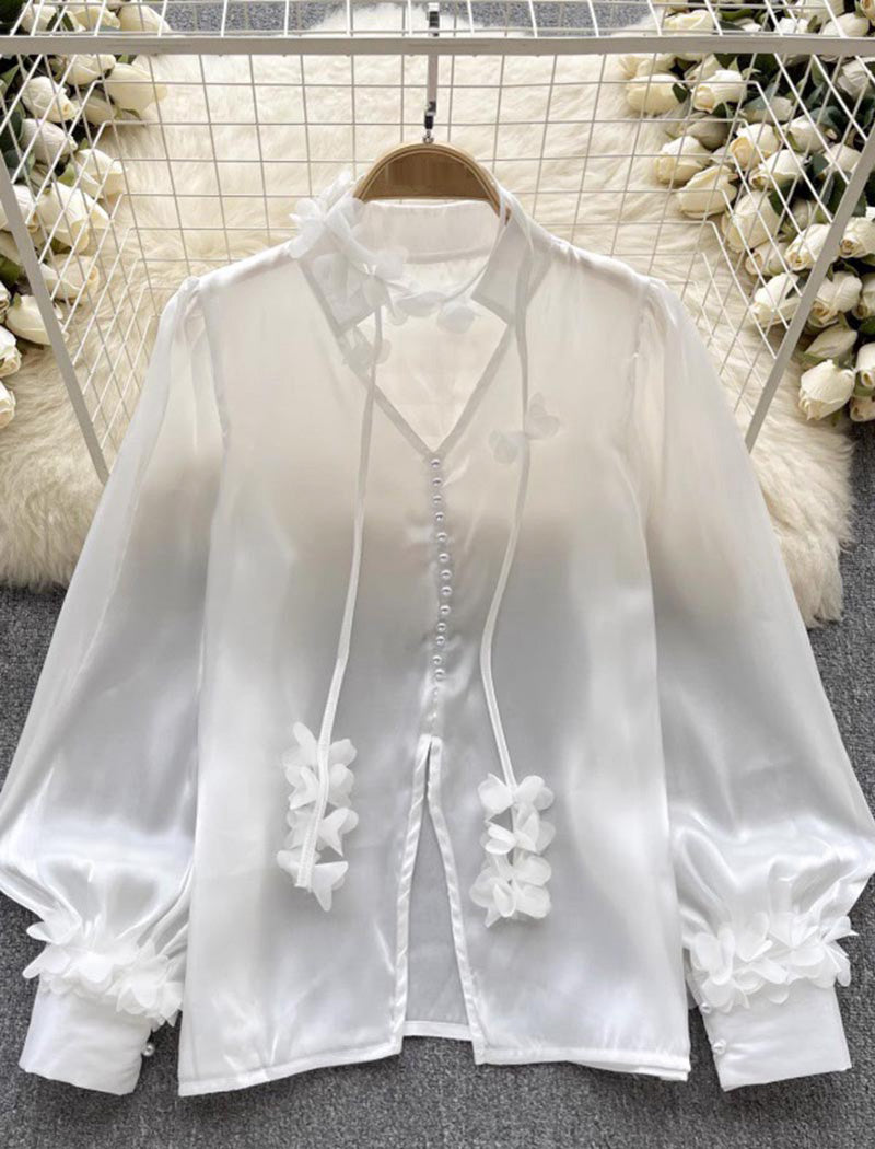 Floral Applique Blouse With Puff Sleeves