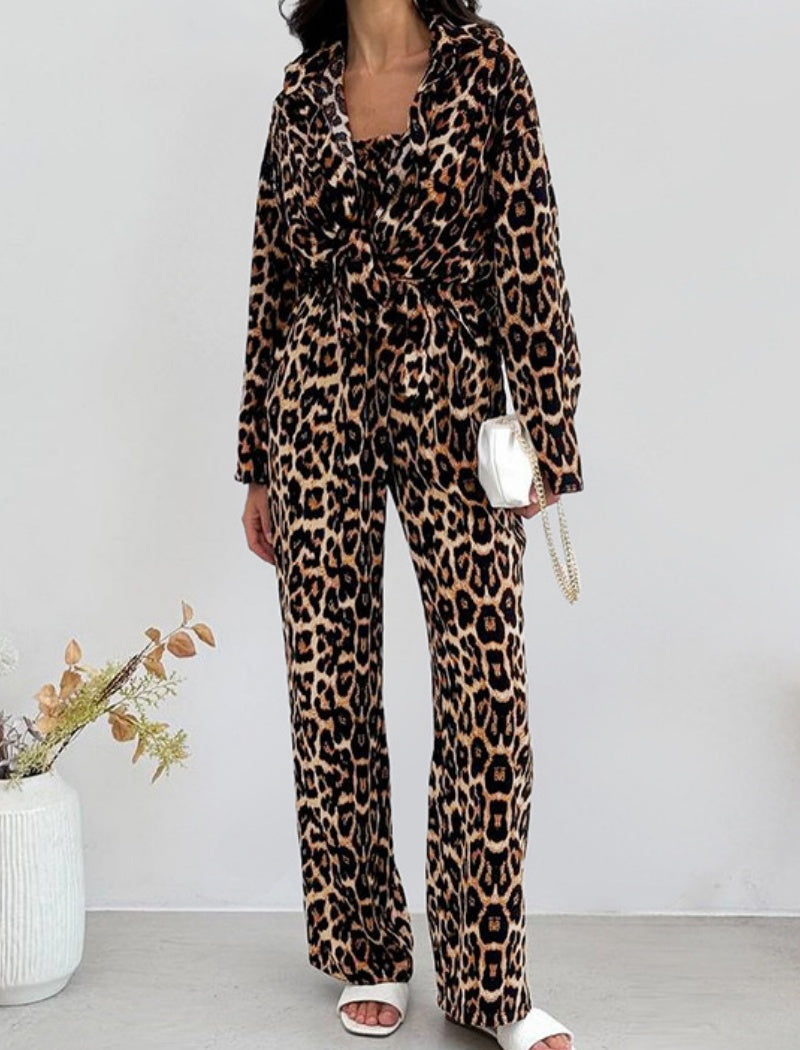 Leopard Print Square Neck Long Sleeve Crop Top and Pants Set