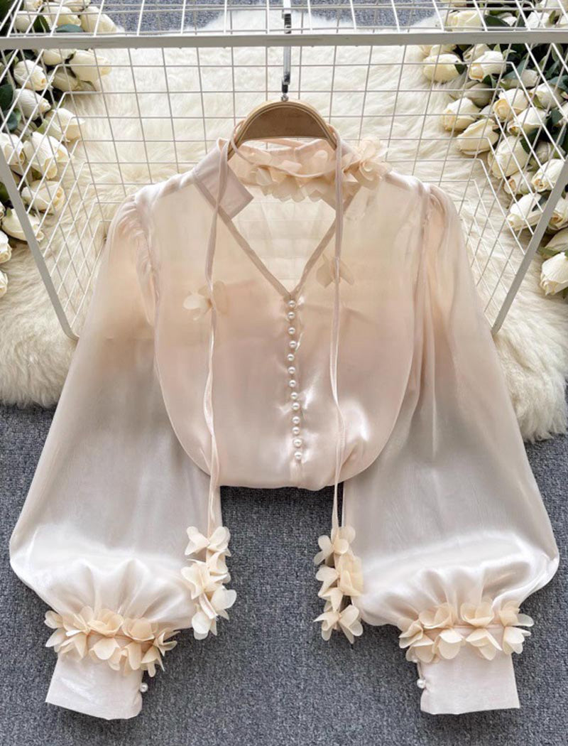 Floral Applique Blouse With Puff Sleeves