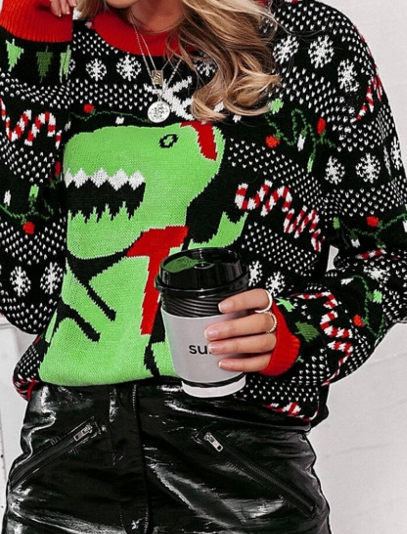 Loose Fit Crew Neck Knit Pullover