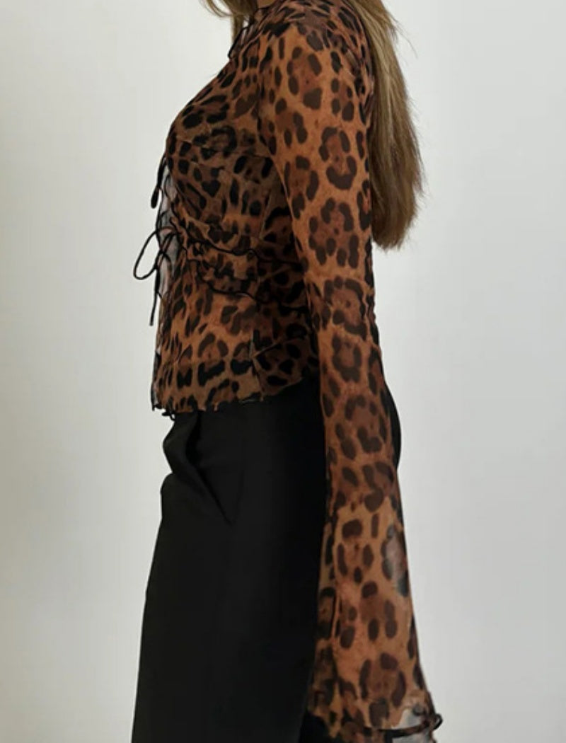 Sheer Leopard Print Long Sleeve Top