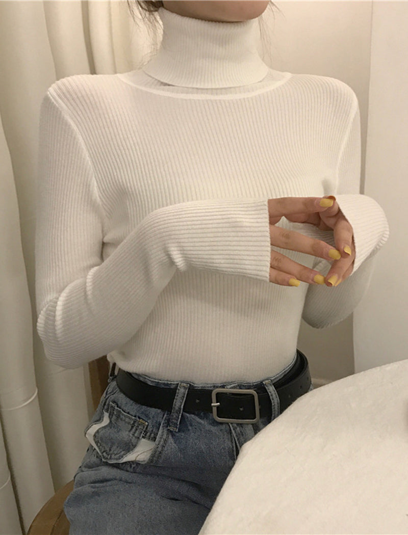 Ribbed Long Sleeve Turtleneck Top