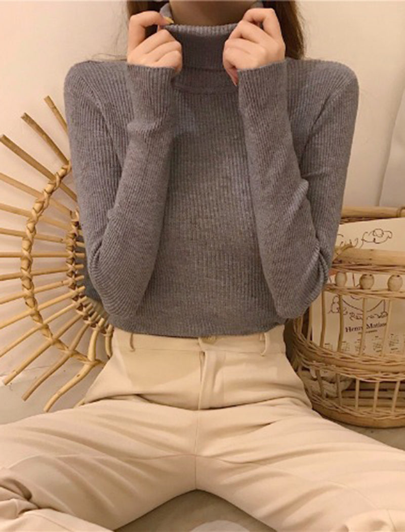 Ribbed Long Sleeve Turtleneck Top