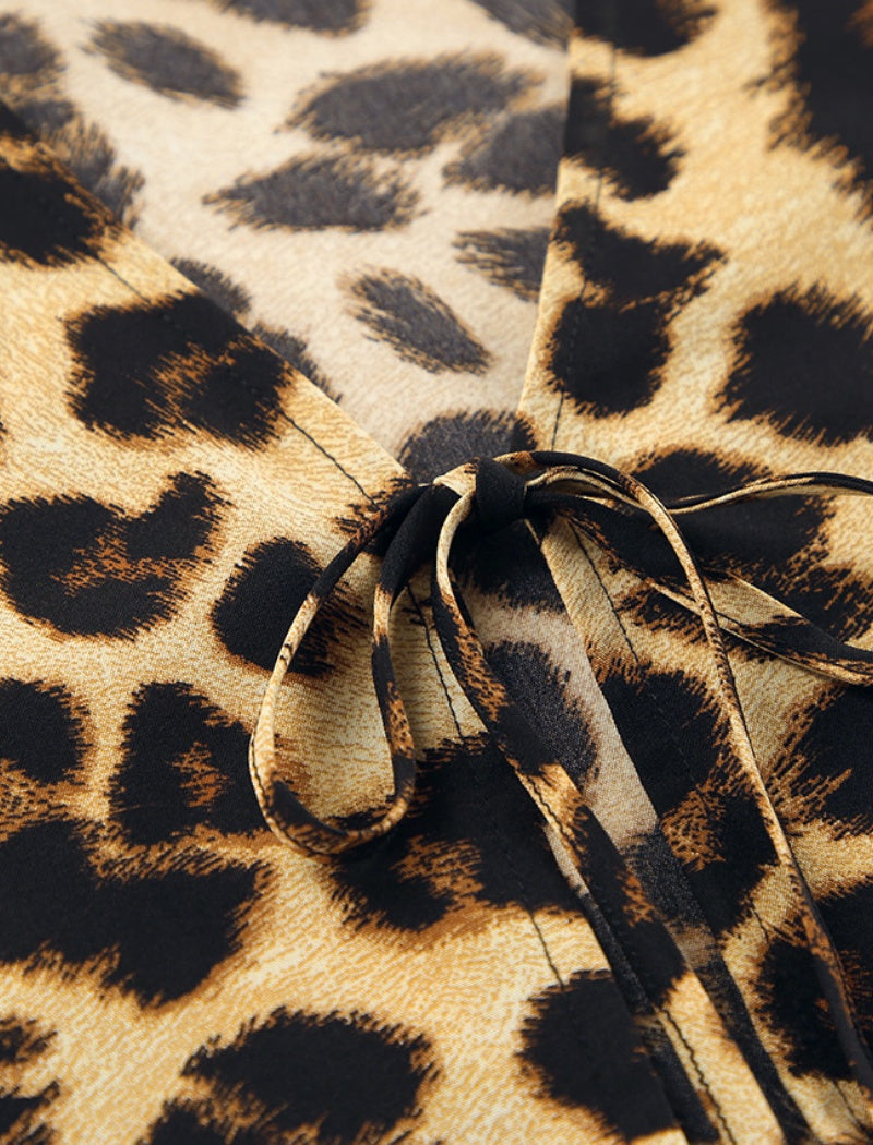 Leopard Print Long Sleeve Top and Pants Set