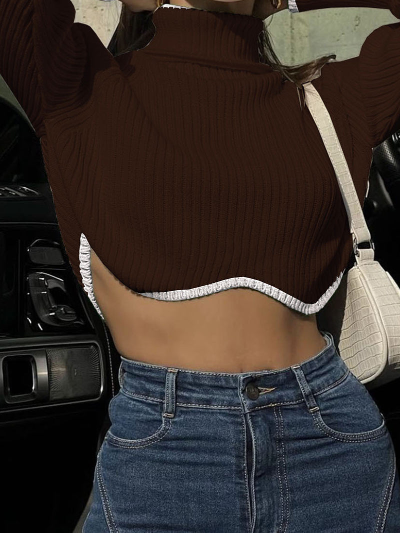 Cropped Turtleneck Sweater