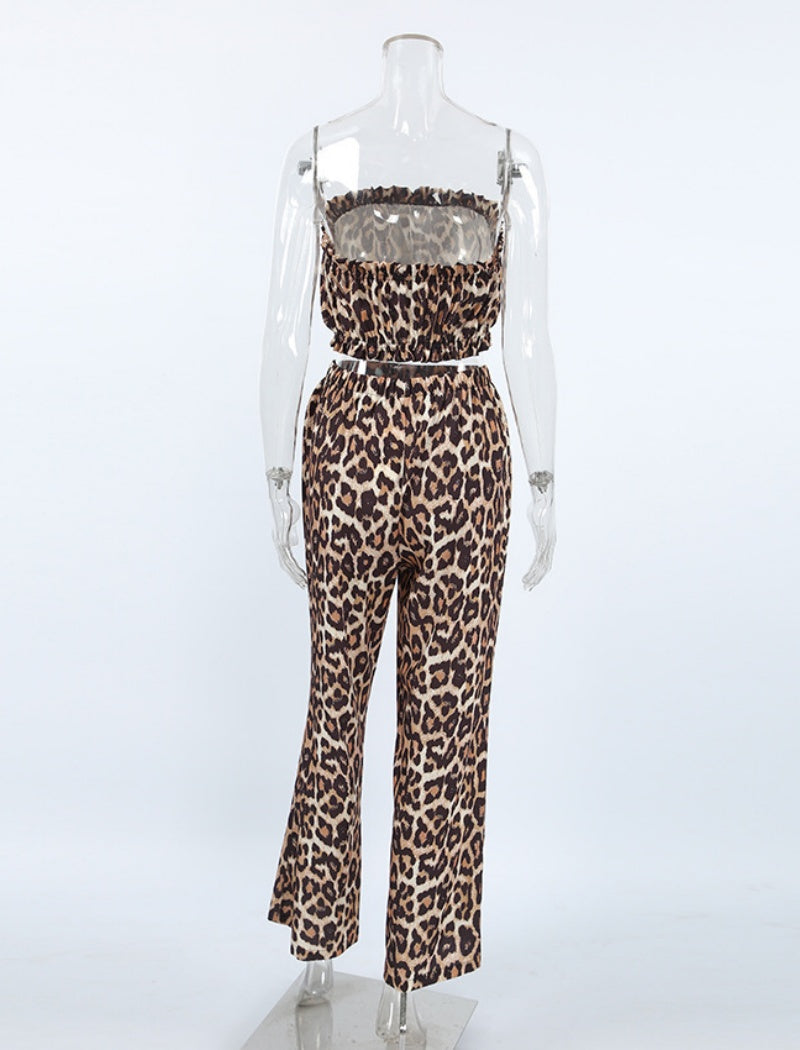 Leopard Print Square Neck Long Sleeve Crop Top and Pants Set