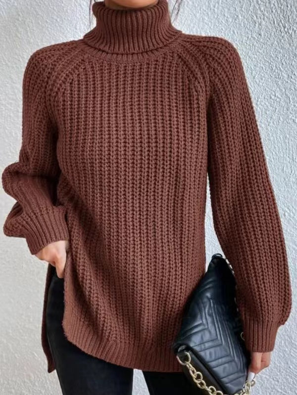 Chunky Knit Turtleneck Sweater
