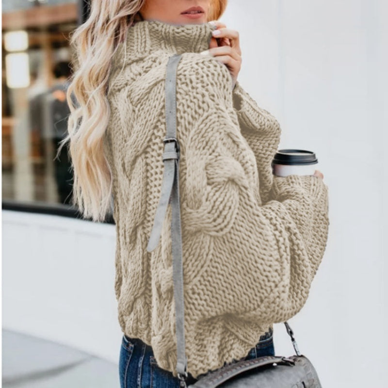 Chunky Turtleneck Sweater
