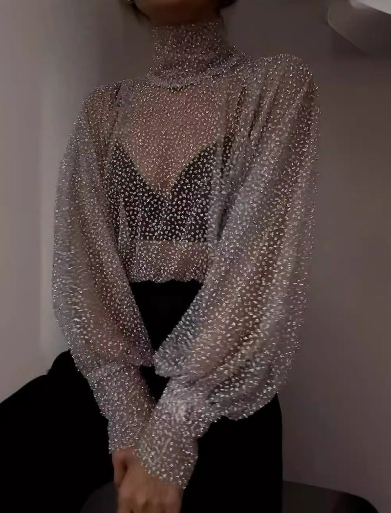 Sequin Mesh Turtleneck Pullover Top
