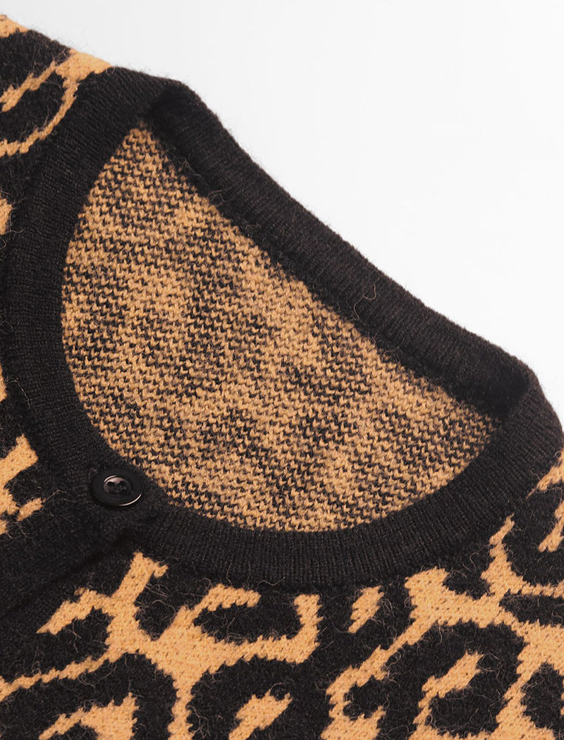 Relaxed Leopard Print Knit Sweater