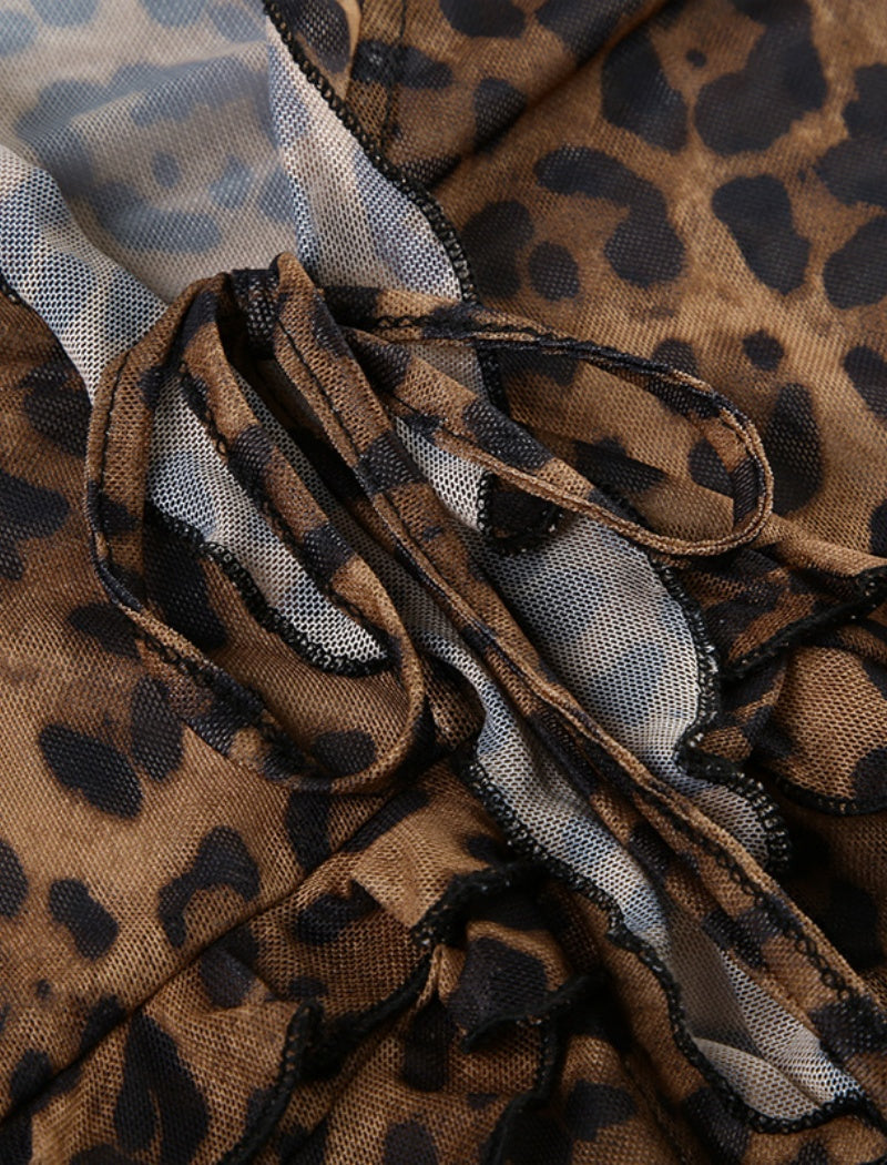 Sheer Leopard Print Long Sleeve Top