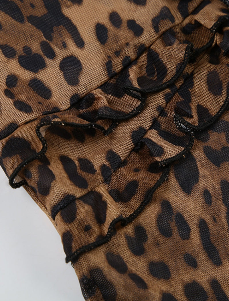 Sheer Leopard Print Long Sleeve Top