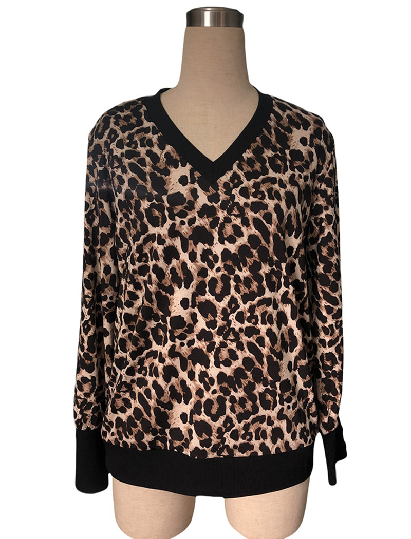 Printed V-Neck Long Sleeve Top