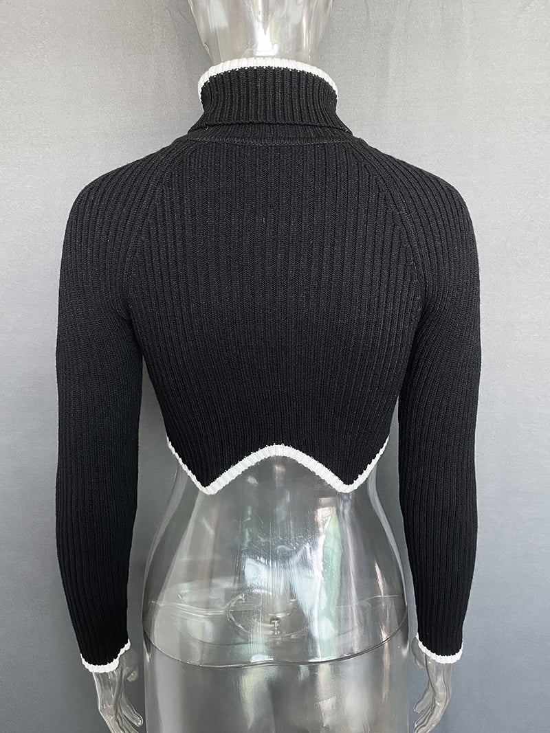 Cropped Turtleneck Sweater