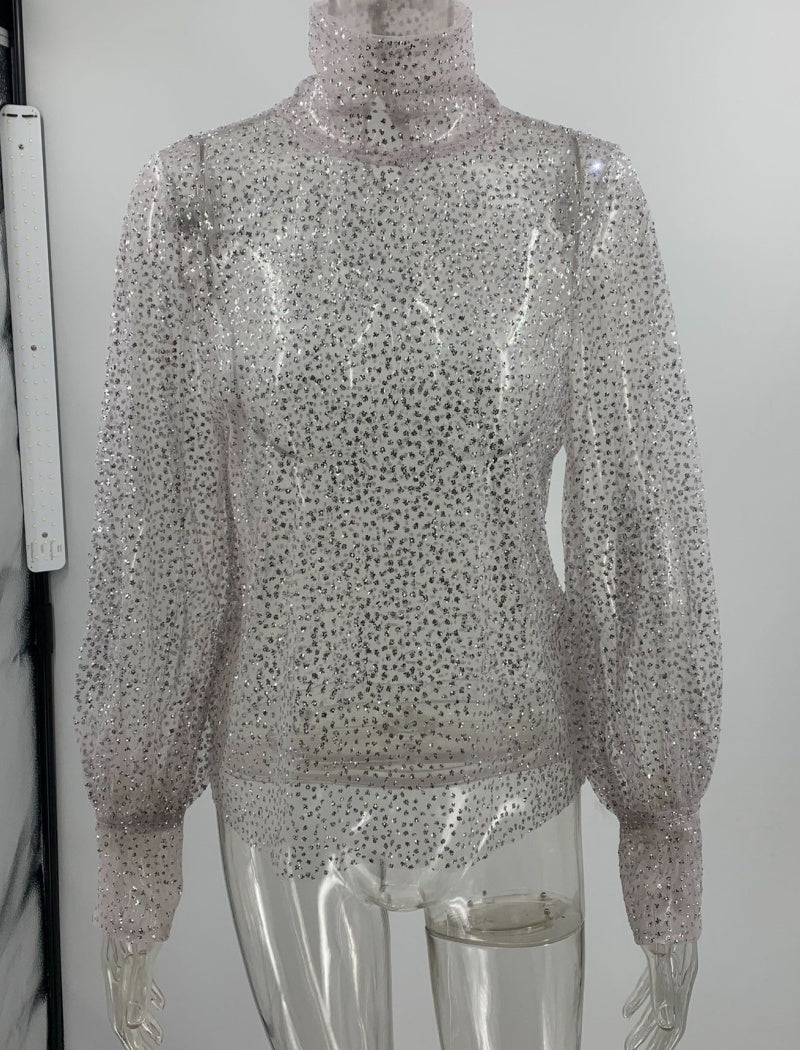 Sequin Mesh Turtleneck Pullover Top