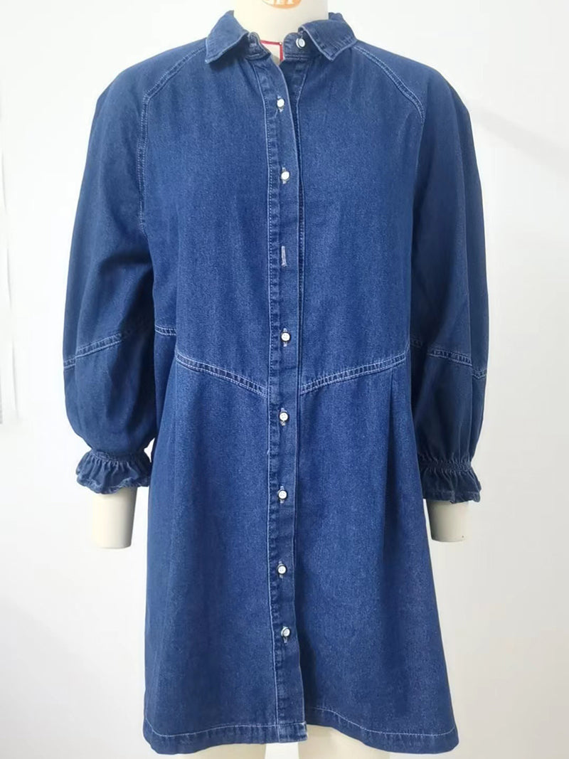 Denim Button-Up Shirt Dress