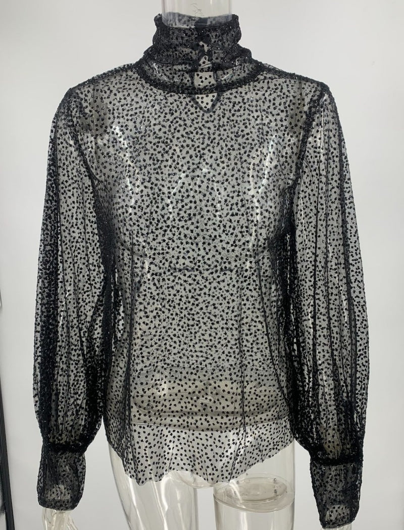 Sequin Mesh Turtleneck Pullover Top