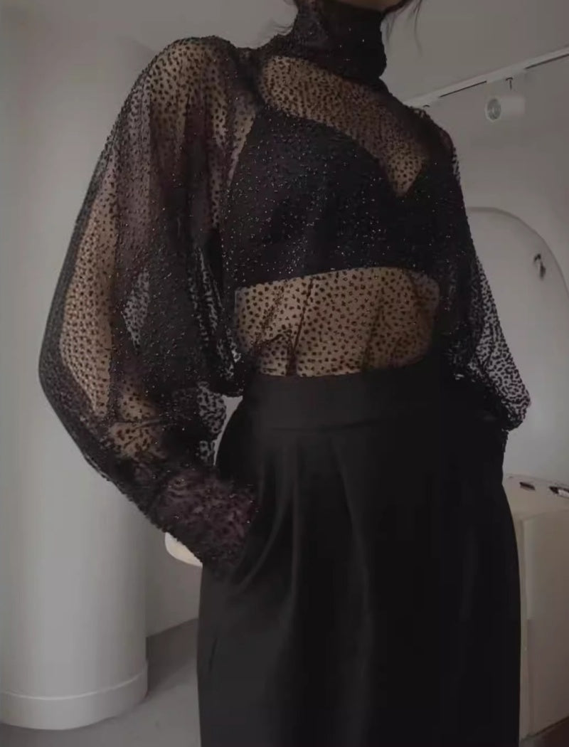 Sequin Mesh Turtleneck Pullover Top