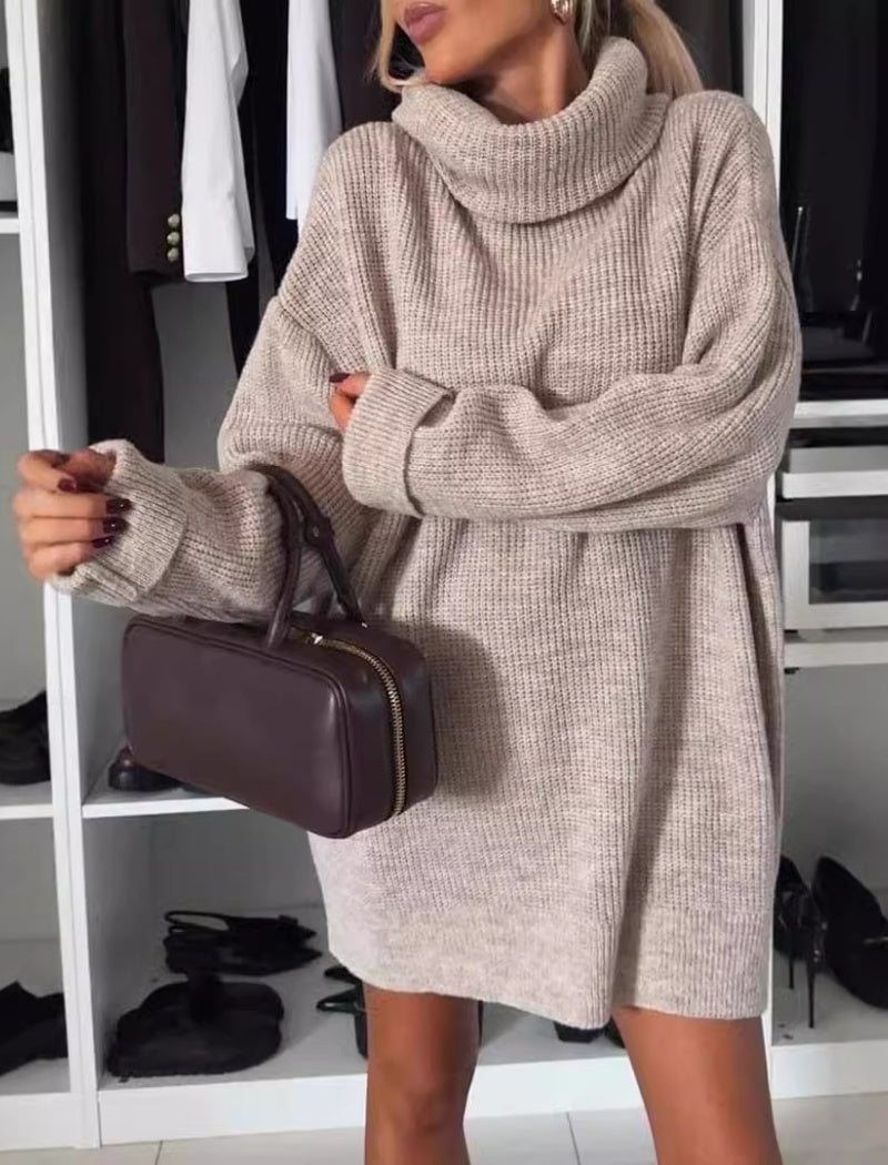 Oversized Turtleneck Knit Sweater