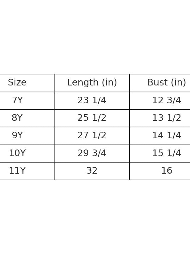 Ruffle Denim Mini Dress