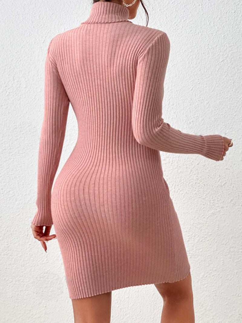 Ribbed Mock Neck Bodycon Mini Dress