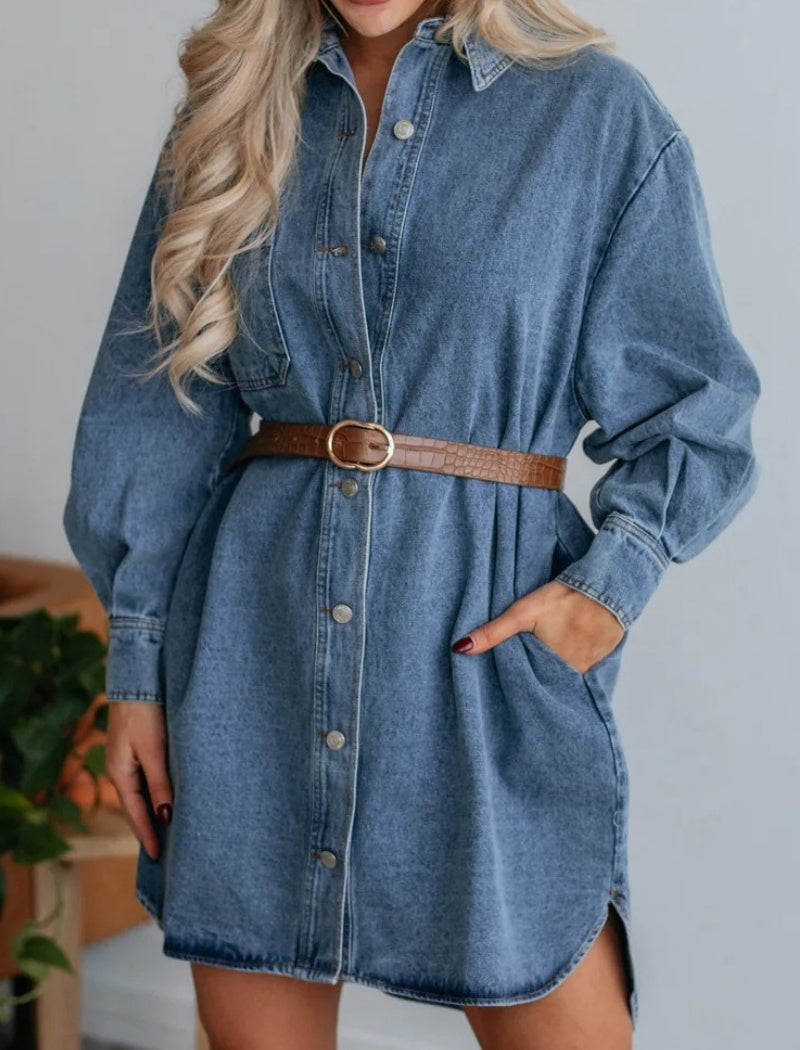 Oversized Button-Up Denim Shirt Dress