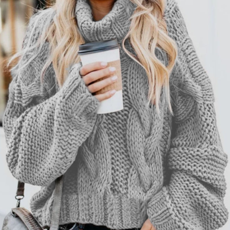 Chunky Turtleneck Sweater