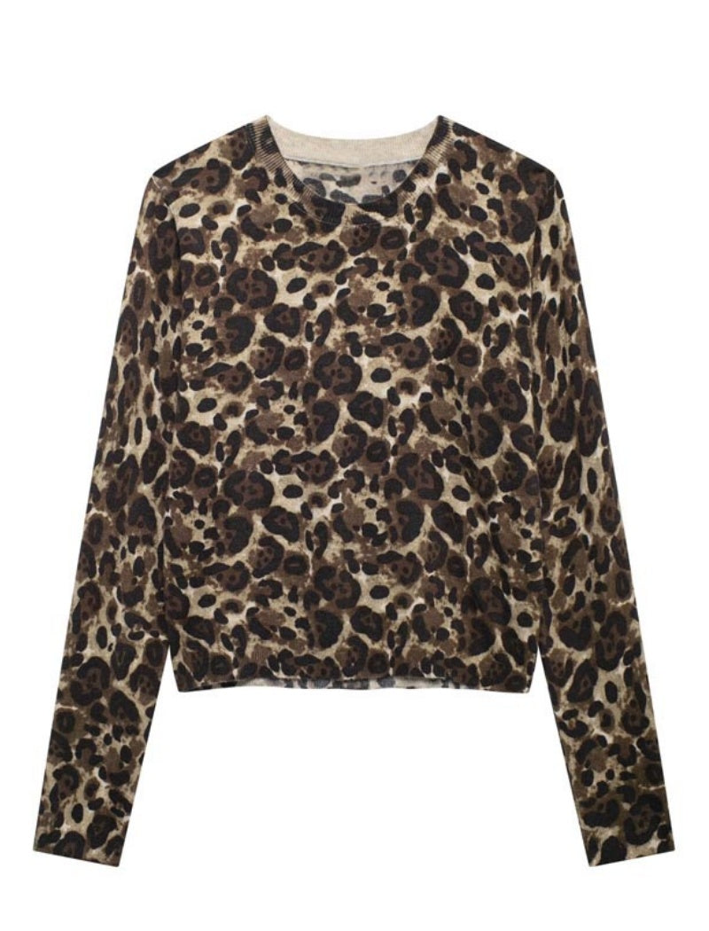 Leopard Print Long Sleeve Crop Top