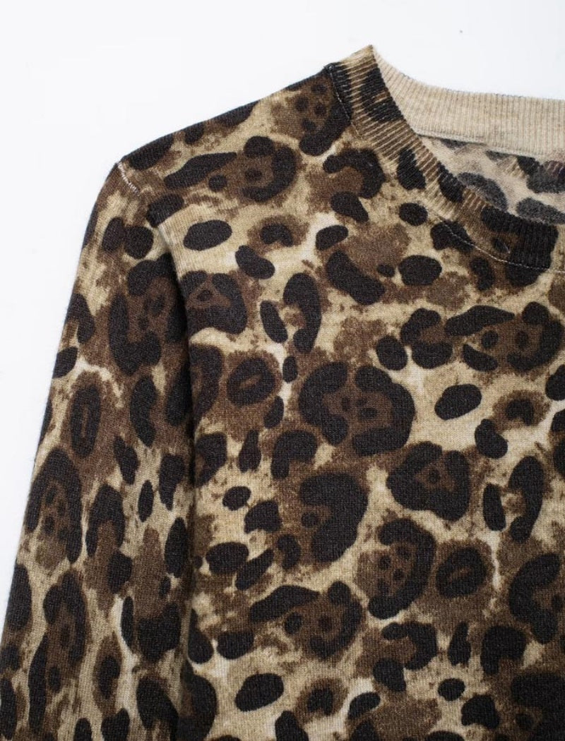 Leopard Print Long Sleeve Crop Top