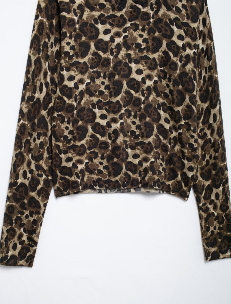 Leopard Print Long Sleeve Crop Top