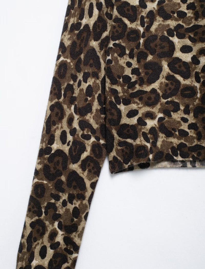 Leopard Print Long Sleeve Crop Top