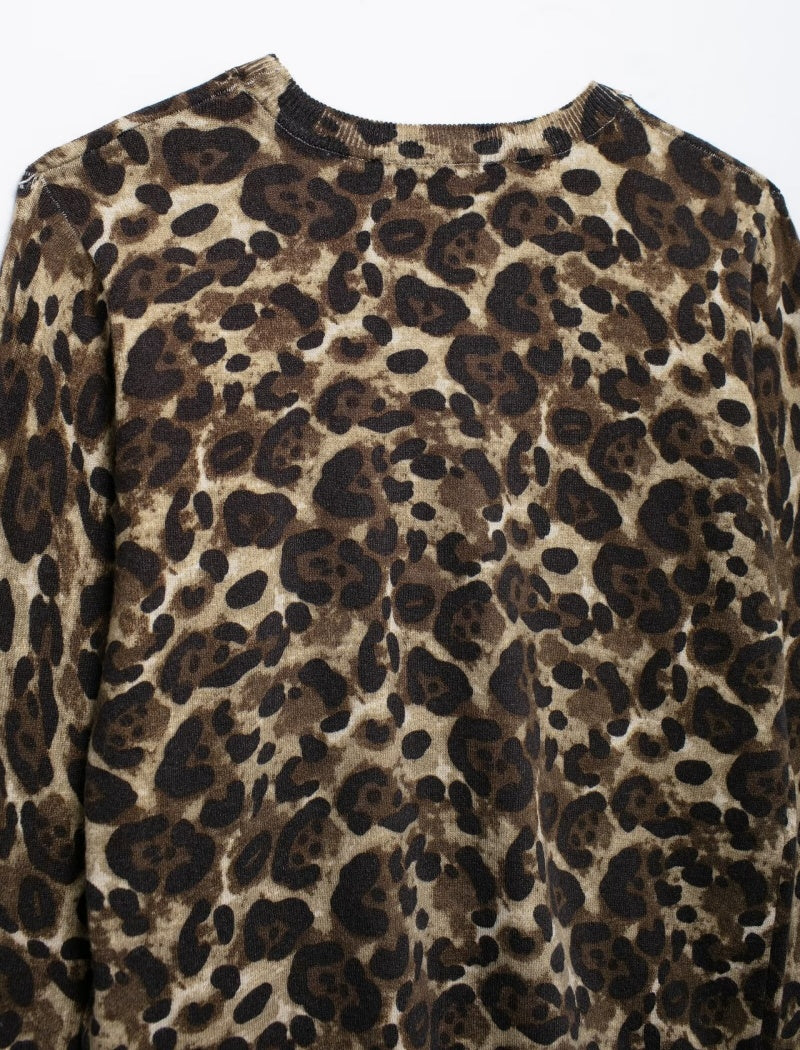 Leopard Print Long Sleeve Crop Top