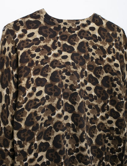 Leopard Print Long Sleeve Crop Top