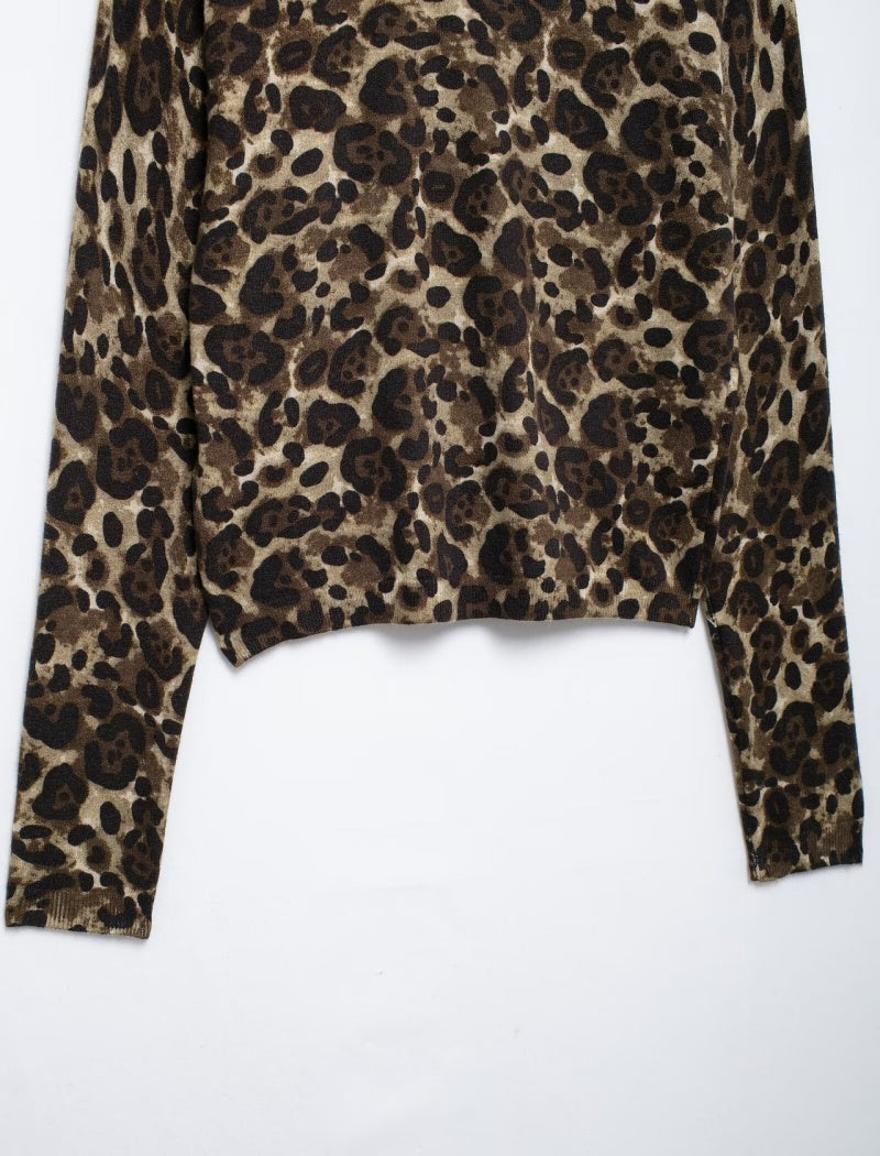 Leopard Print Long Sleeve Crop Top