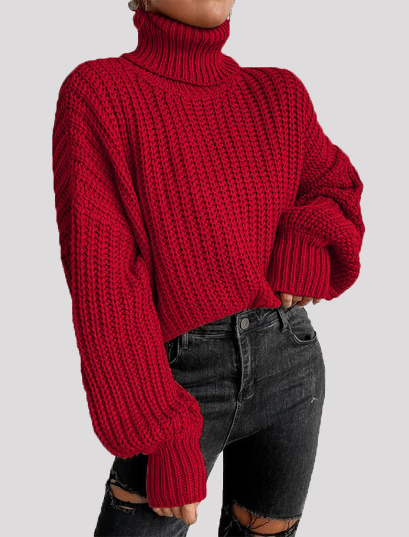 Chunky Turtleneck Knit Sweater