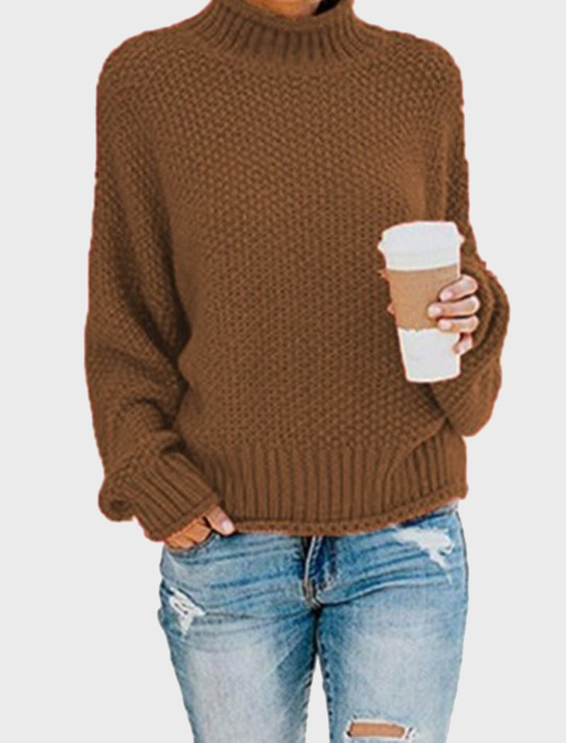 Chunky Knit Turtleneck Sweater