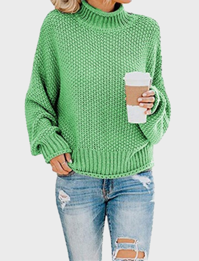 Chunky Knit Turtleneck Sweater