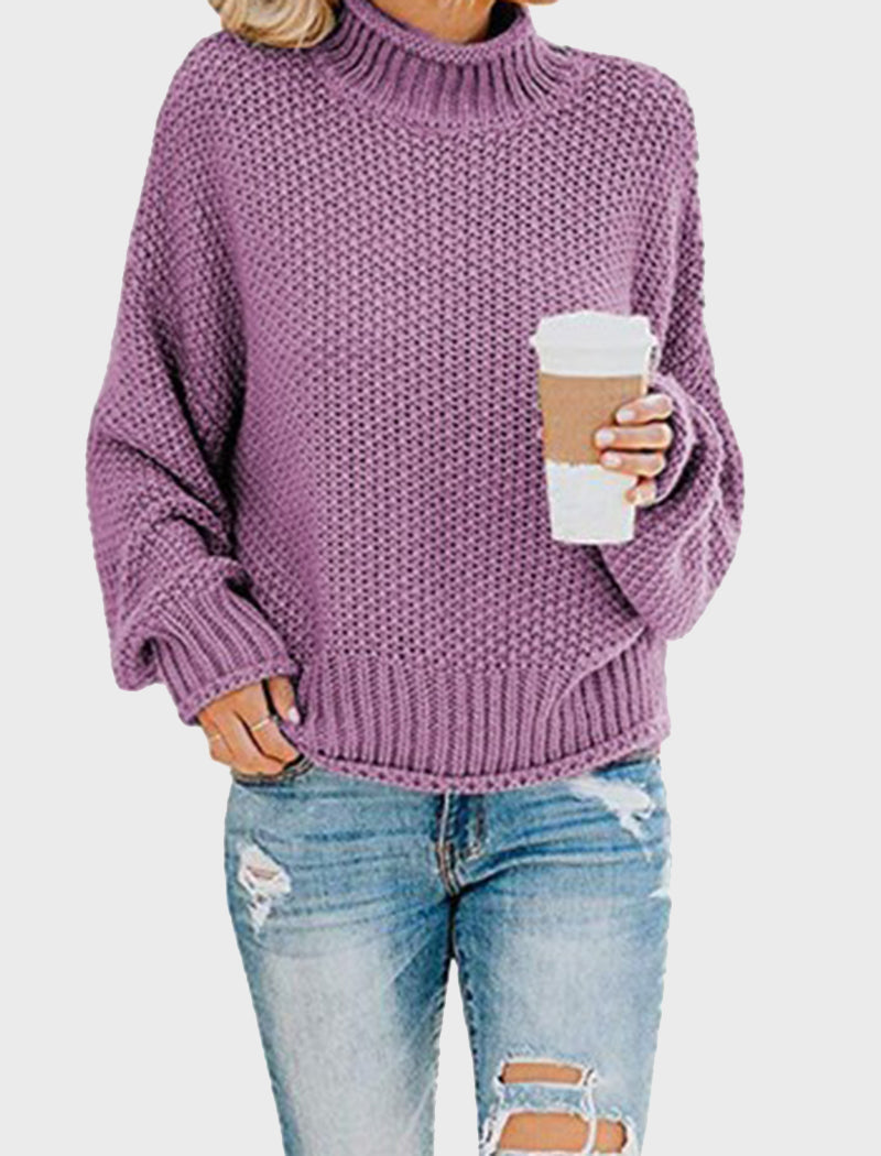 Chunky Knit Turtleneck Sweater