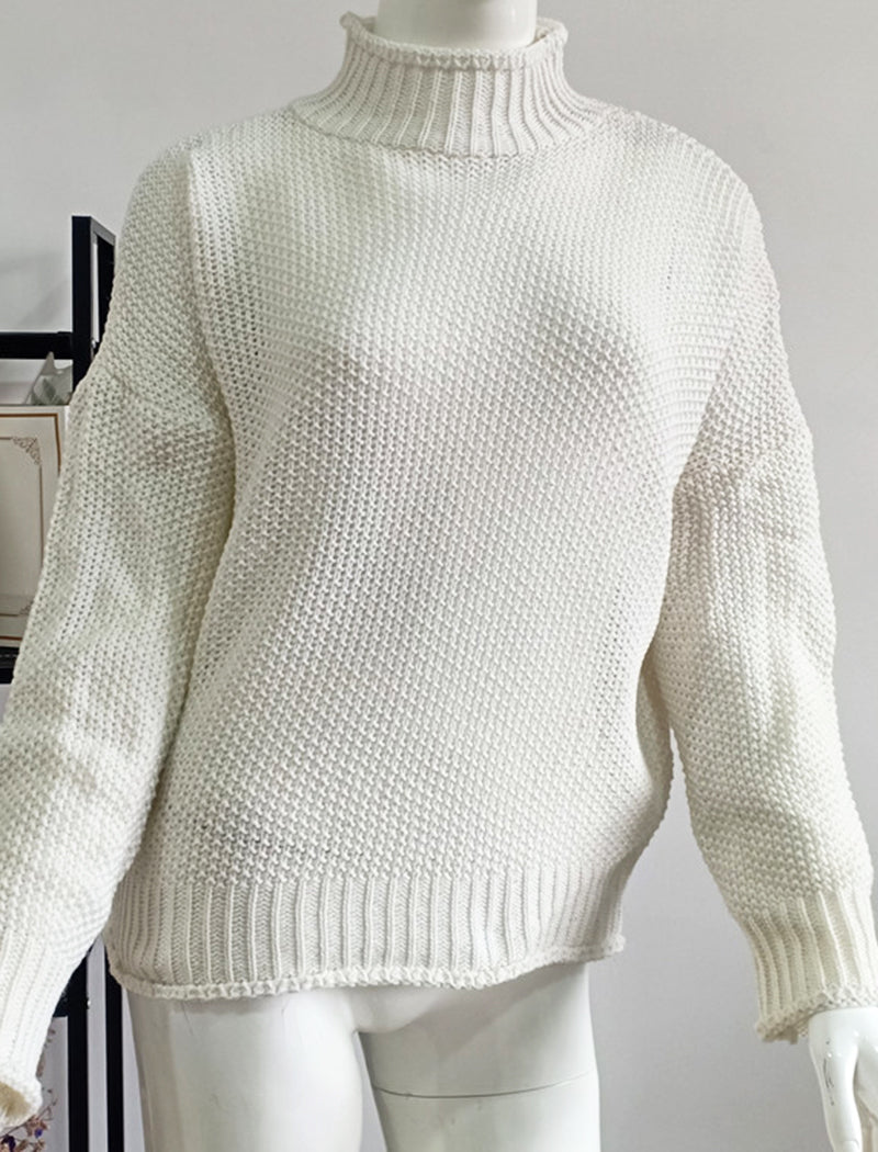 Chunky Knit Turtleneck Sweater