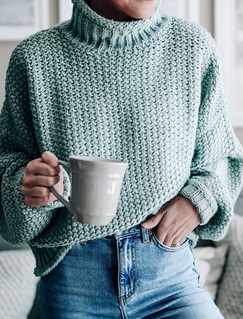 Chunky Knit Turtleneck Sweater