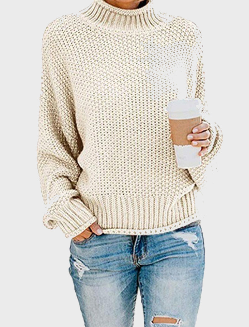 Chunky Knit Turtleneck Sweater