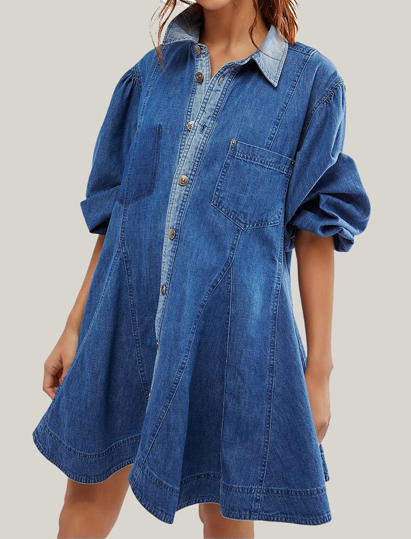 Denim A-Line Button-Down Dress