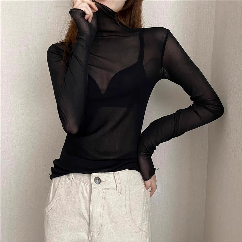 Sheer High Neck Long Sleeve Top